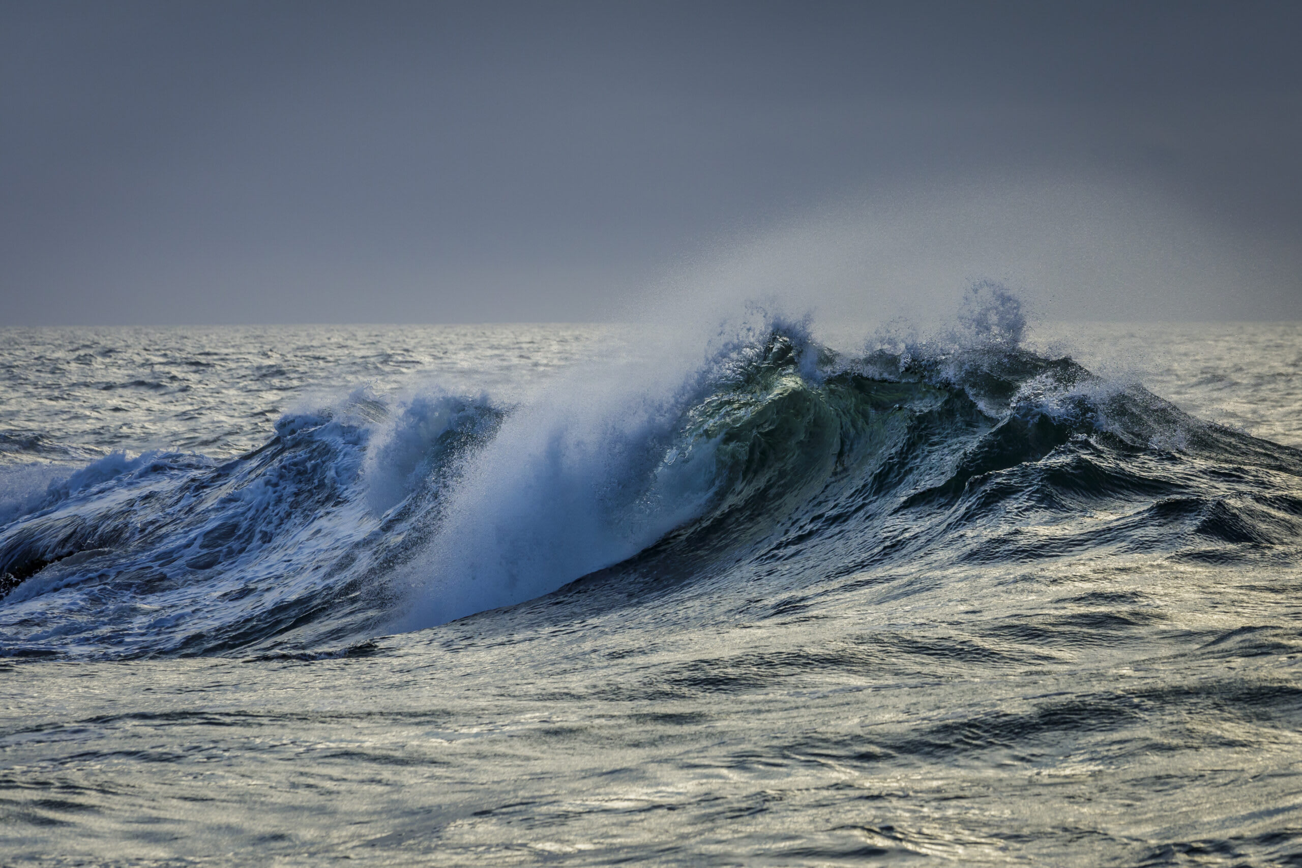 Bedeutender Erfolg für den Schutz der Meere