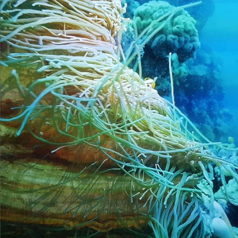 Venedig: Bilder der Stille