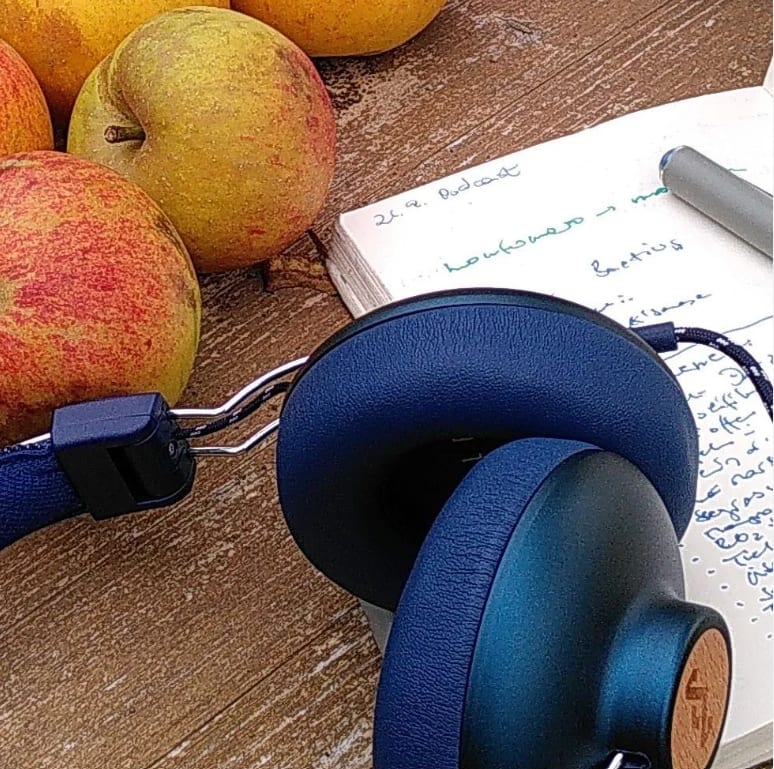 DEEPWAVE zu Gast beim GRÜNLAND-Podcast