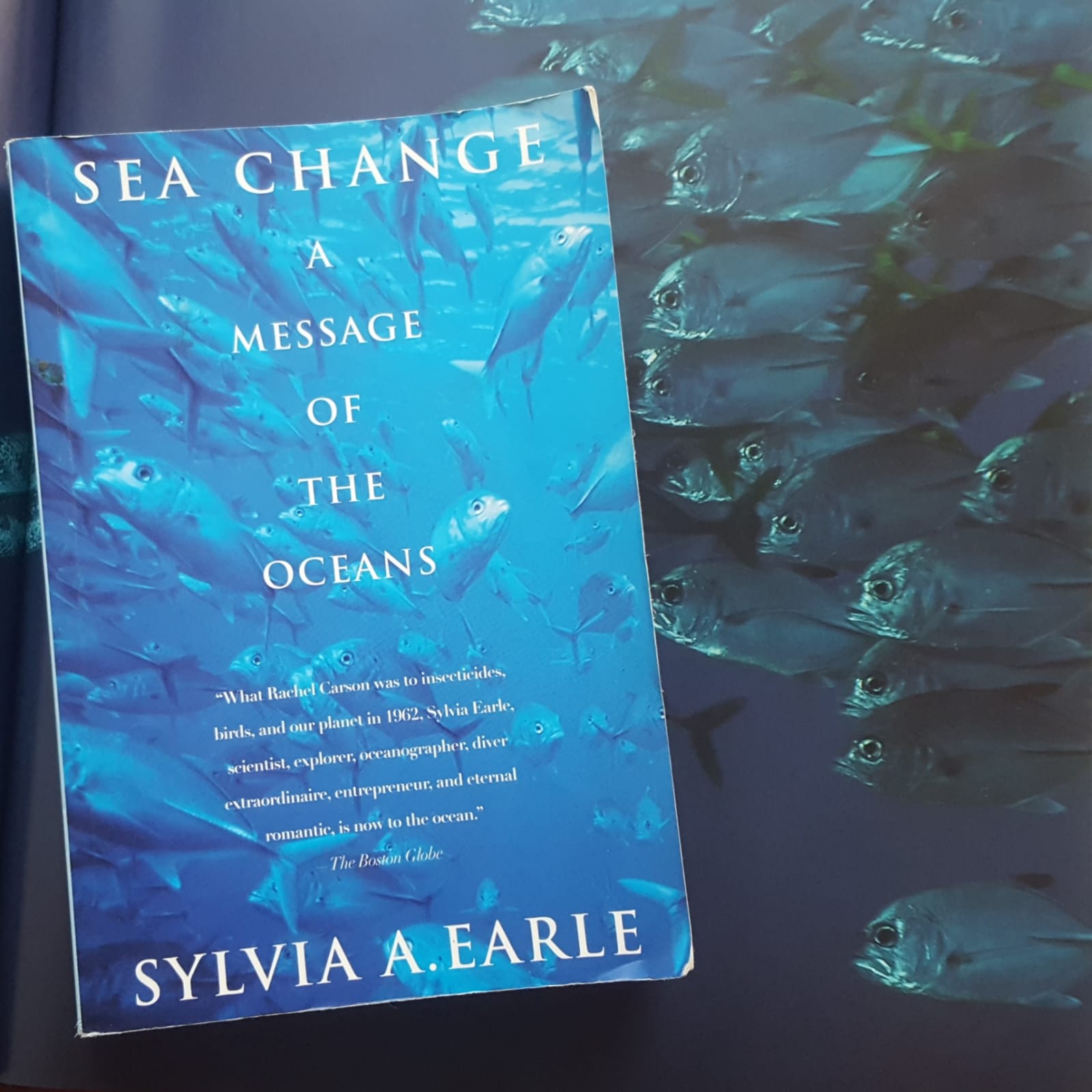 Sea Change: A Message of the Oceans by Sylvia Earle