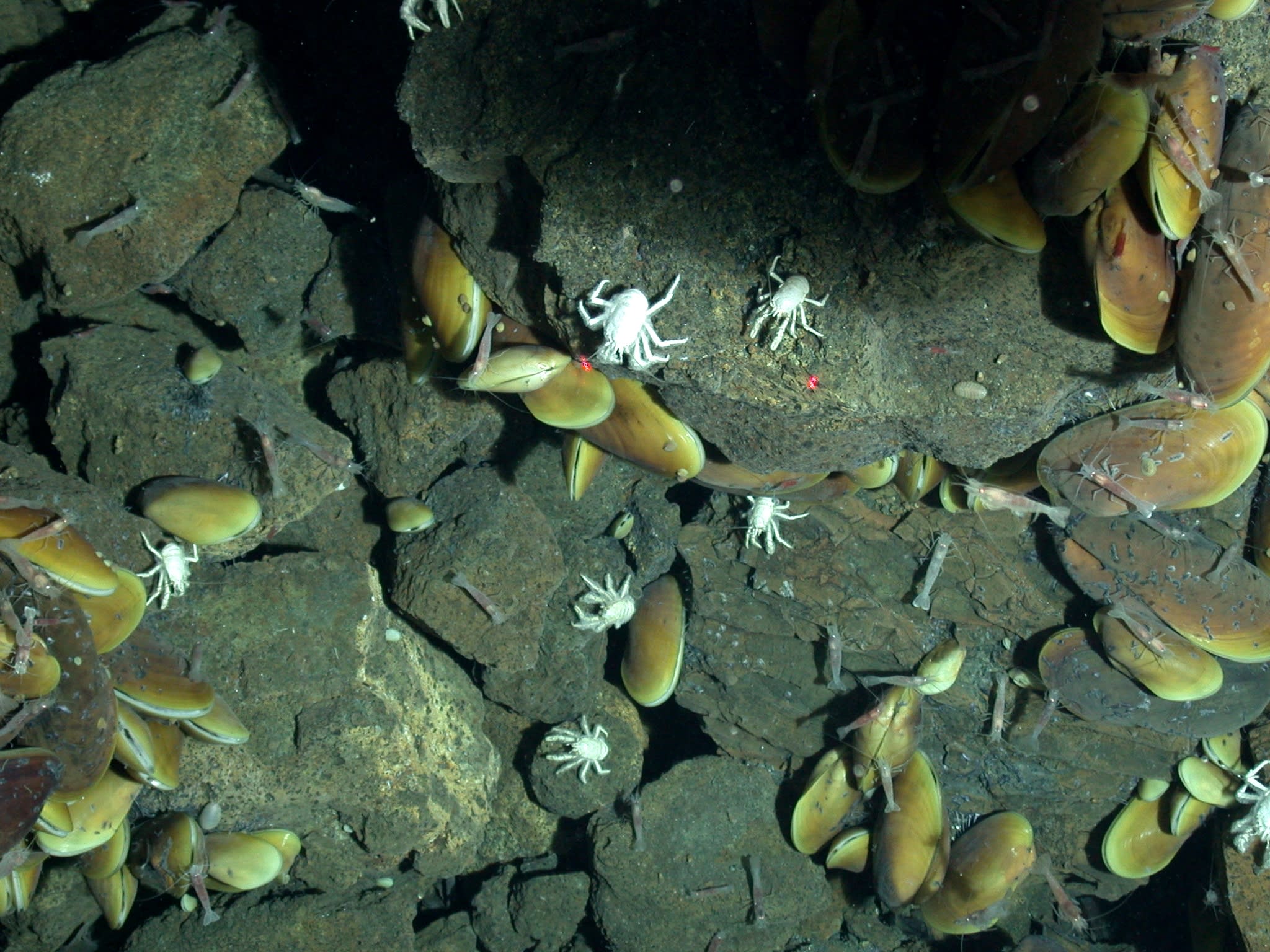 Wie ist das Wetter in der Tiefsee?