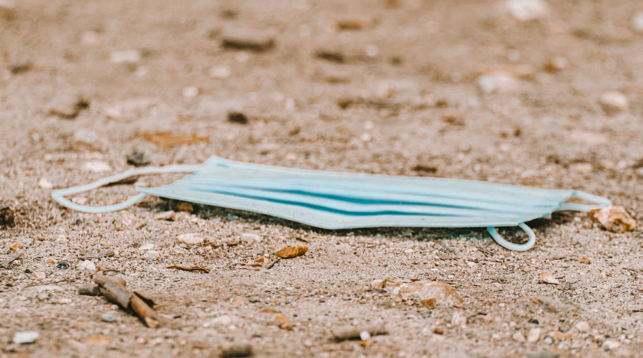 Umweltzerstörung im Schatten des Virus