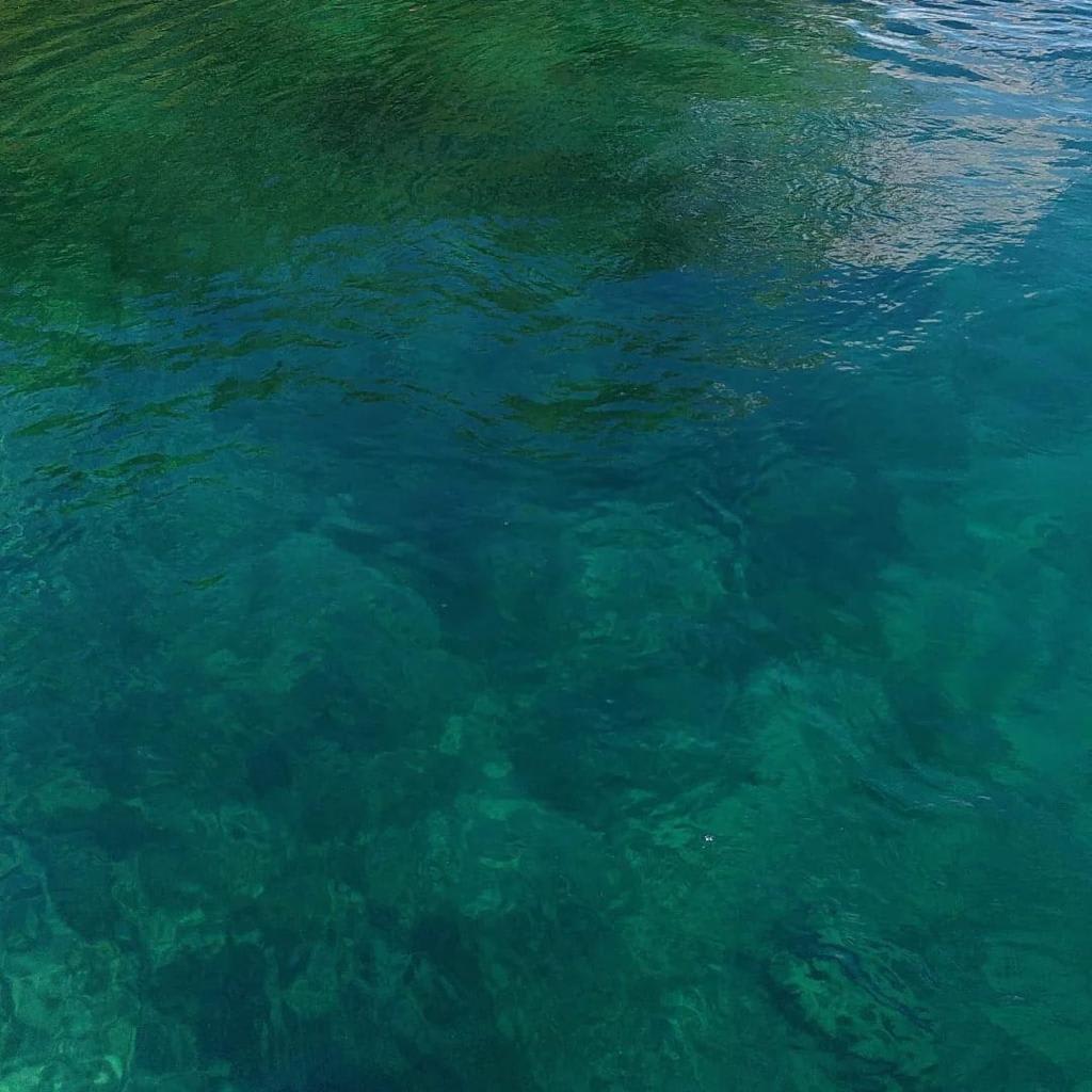 Apnoetauchen und Meeresschutz