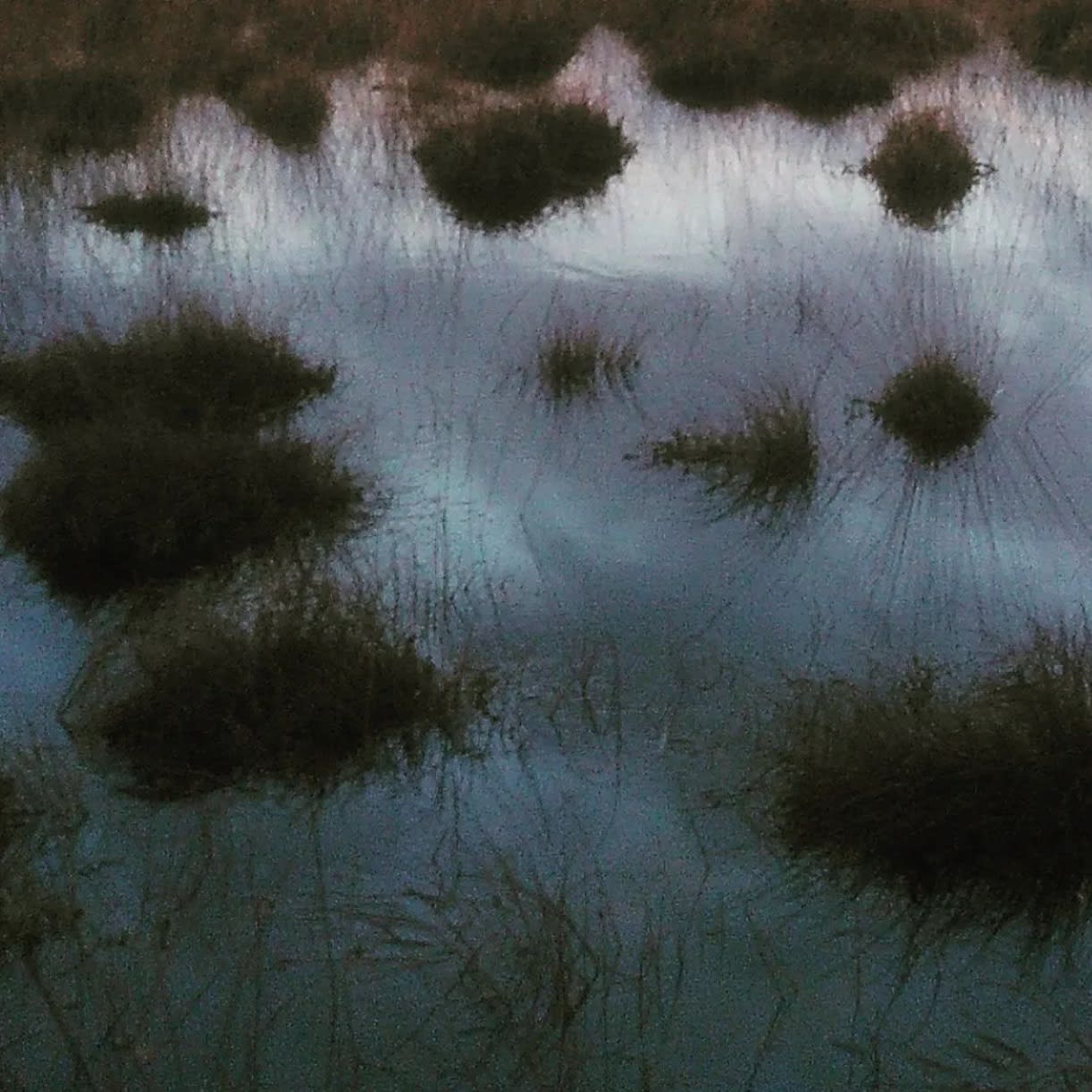 Der Meeresschutz kommt unter die Räder