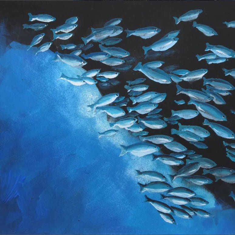 Welchen Fisch darf ich essen?