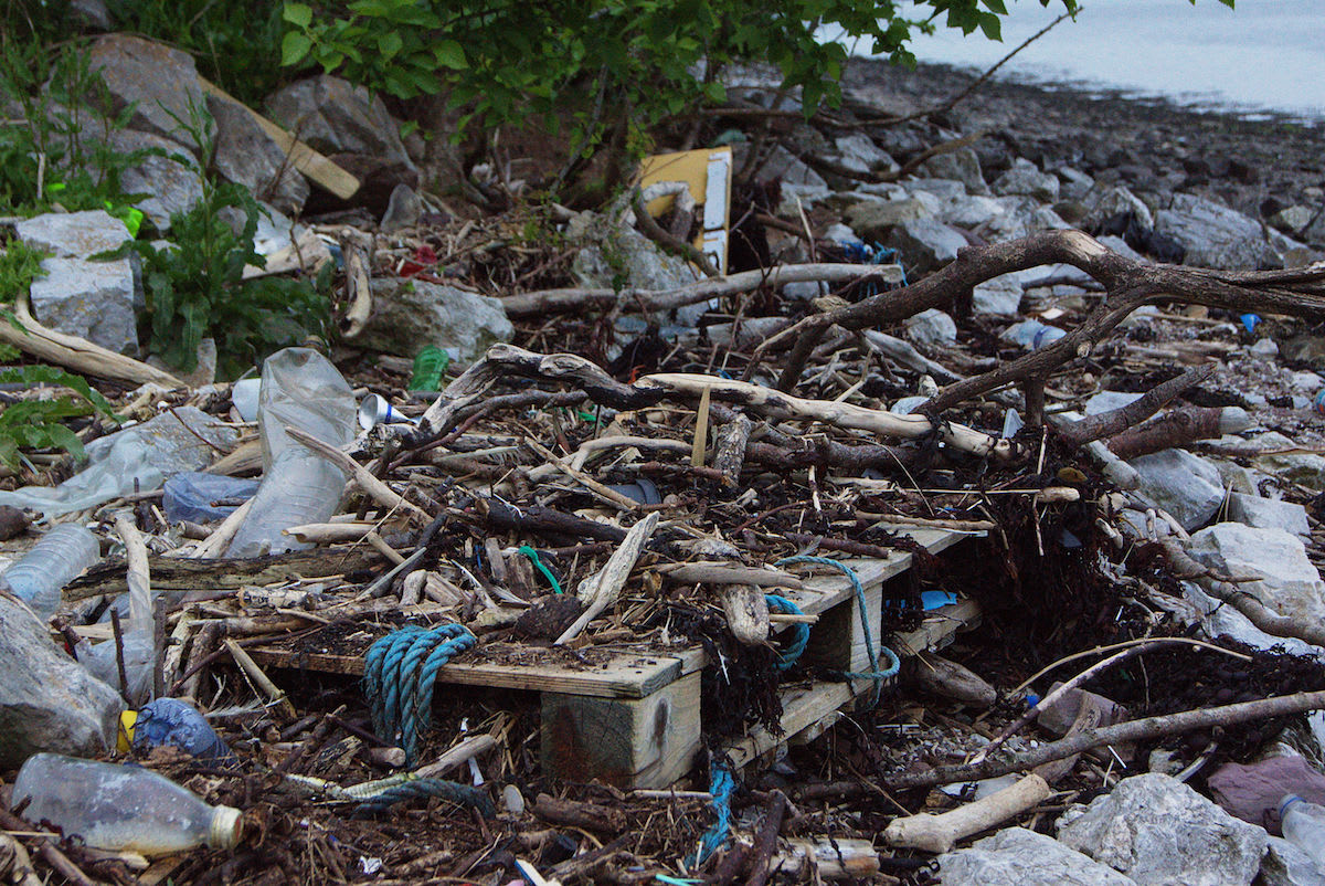 Meer und Müll - ein Reisebericht von den Britischen Inseln