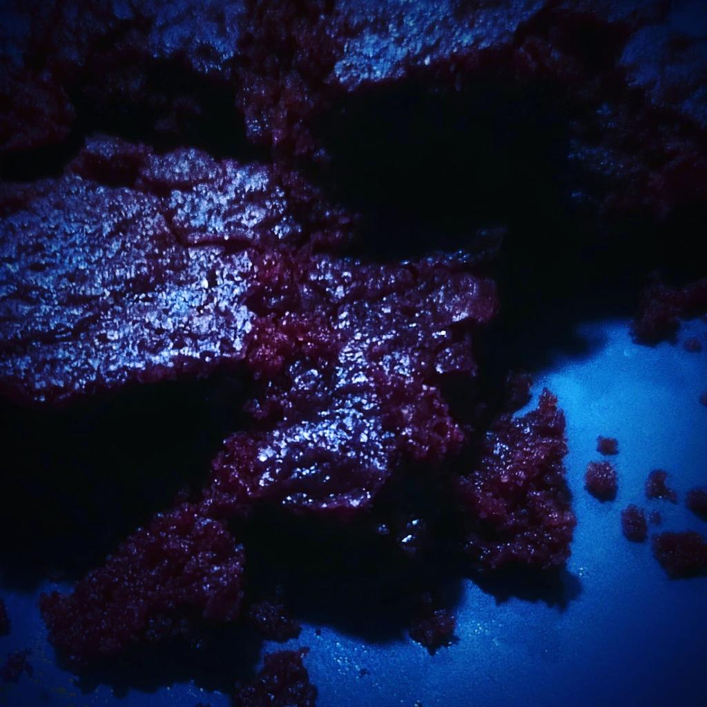 World Ocean Day Part lll