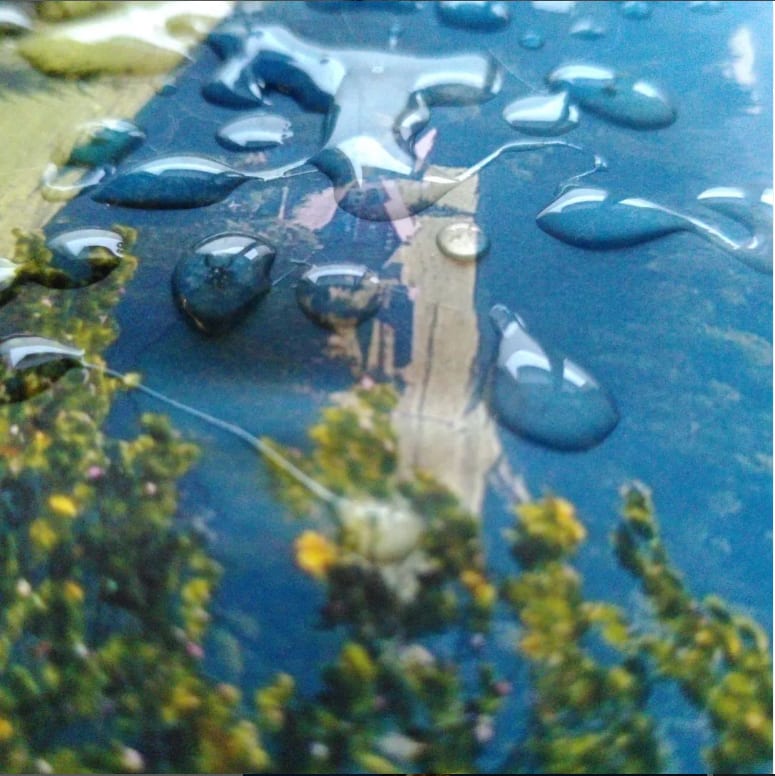 Unsere Verbindung zum Meer