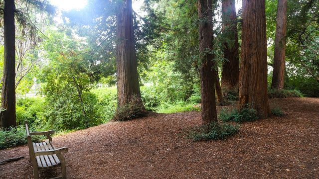 A hidden creek, a 5-minute walk away.