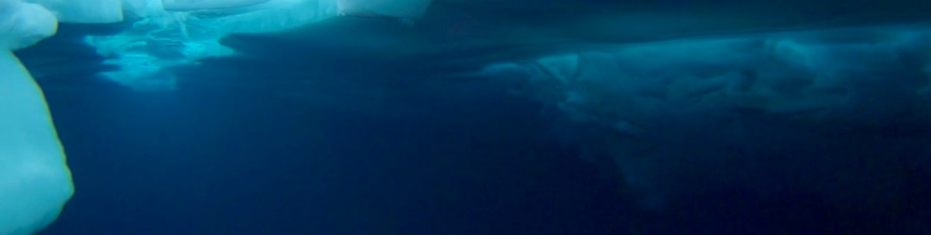 Deepwave e.V. logo