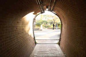 [object Object] detail