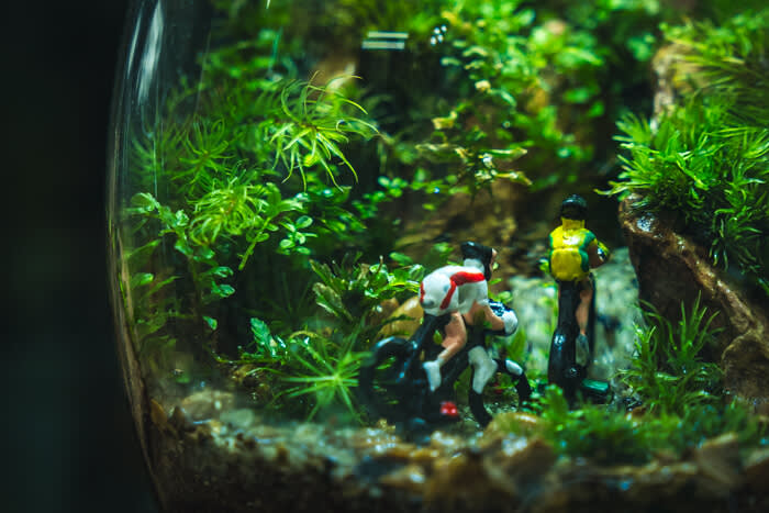 コウベの知らない世界 #01｜長田に誕生した苔テラリウムの小さな聖地「olmo+」