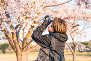 [object Object] detail