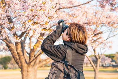 [object Object] detail