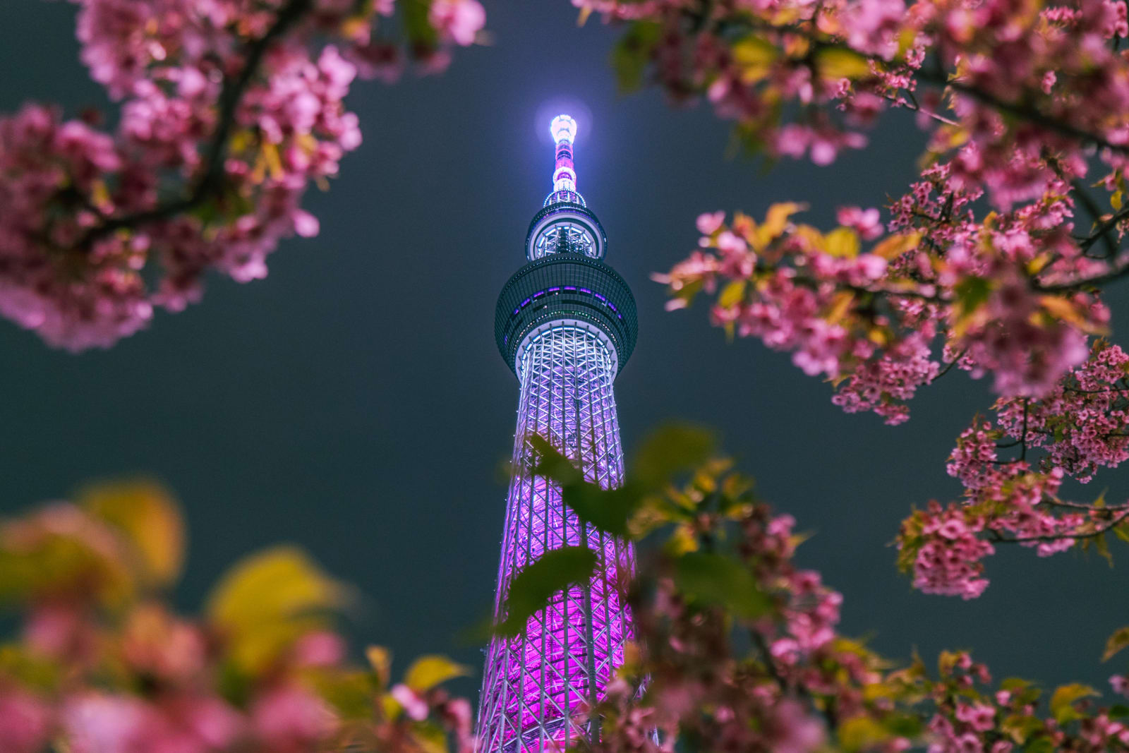 Spring, at night