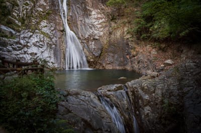 新神戸駅から徒歩15分、都会の喧騒を忘れさせる神秘的な滝。日本の滝百選にも選ばれ、平安時代から多くの歌人に愛されてきた名勝です。
