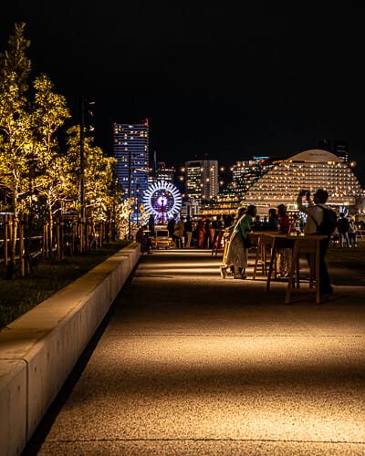 [object Object] detail