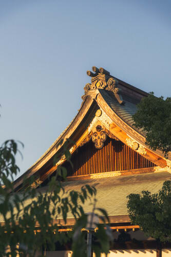 [object Object] detail