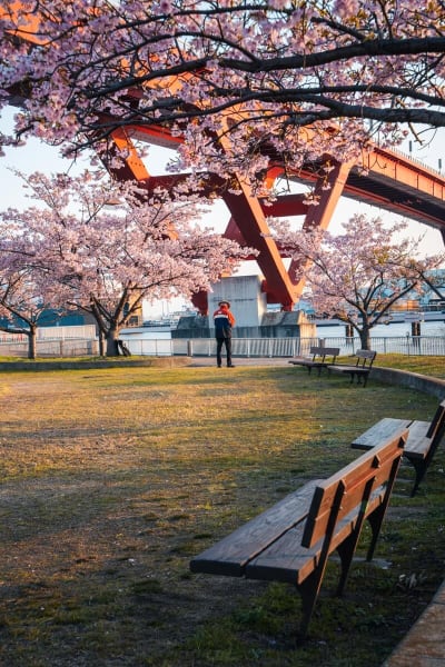 [object Object] sub 2