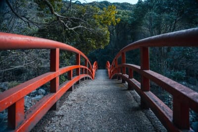 [object Object] sub 1