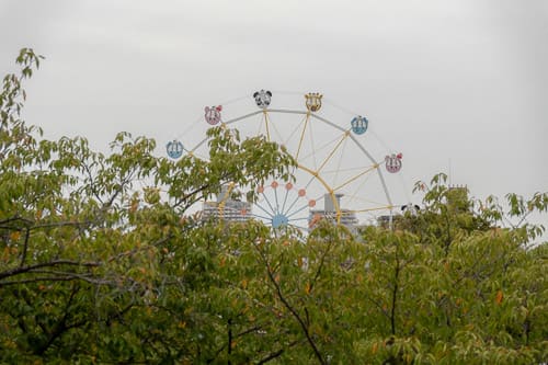 神戸市立王子動物園 2