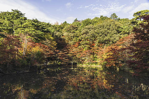 神戸市立森林植物園 1
