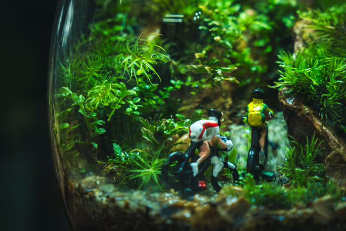 ã³ãŠãã®ç¥ããªãäžç#01 é·ç°ã«èªçããèãã©ãªãŠã ã®å°ããªèå° ãolmo+ã