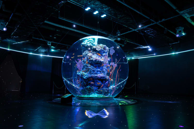 átoaの幻想的な球体水槽 AQUA TERRA