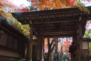 【November 2025 Update】Zuihoji Park Autumn Foliage at Peak! Day Trip Report from Arima Onsen with Food Walk