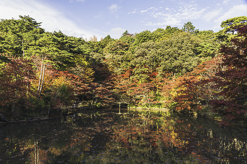 Kobe Municipal Forest Botanical Garden