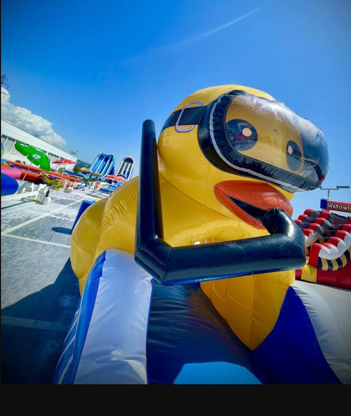 Ventrigliss Canard
