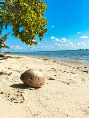 The Nest Kitesurfing's image