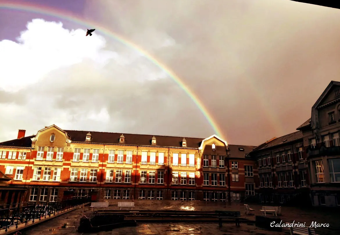 Département pédagogique