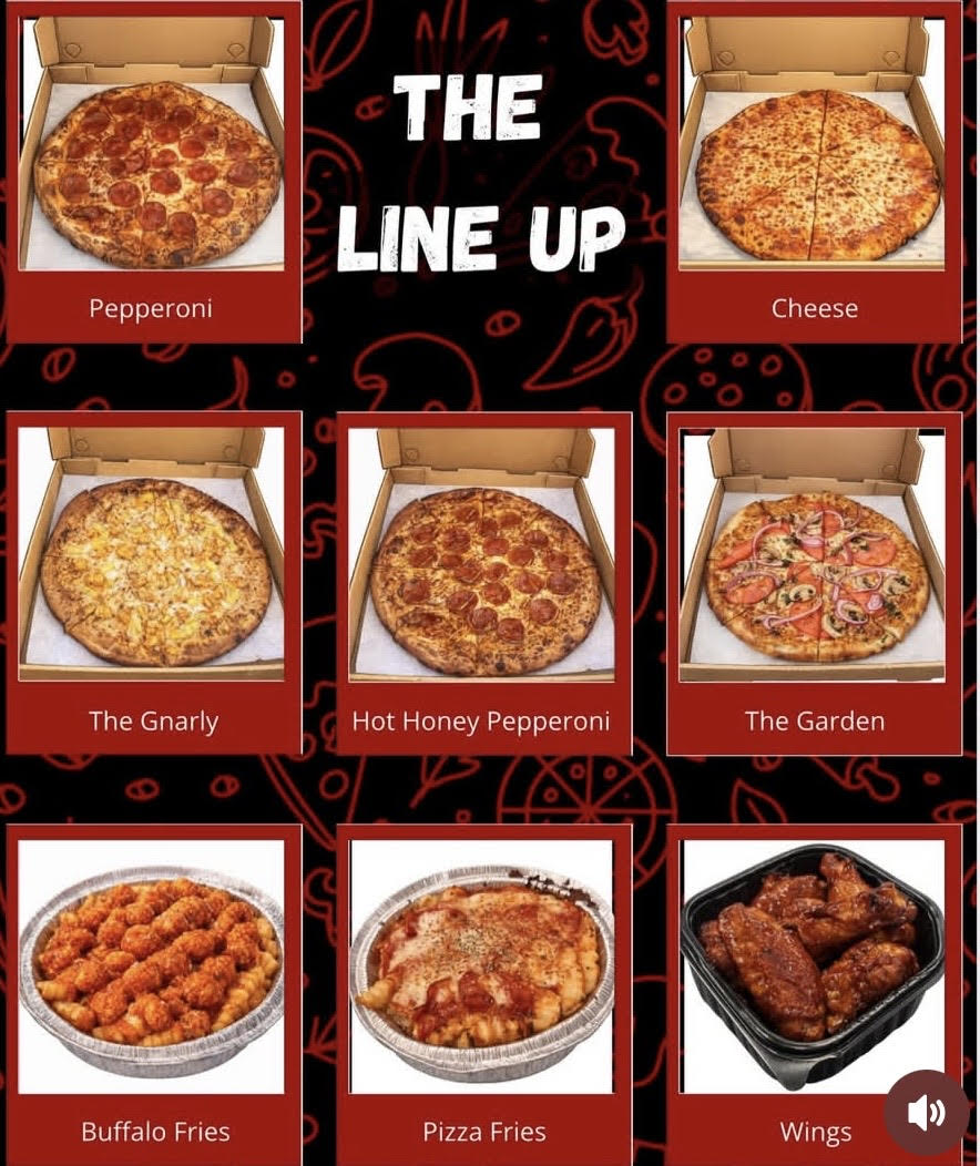 PIZZA310 LLC