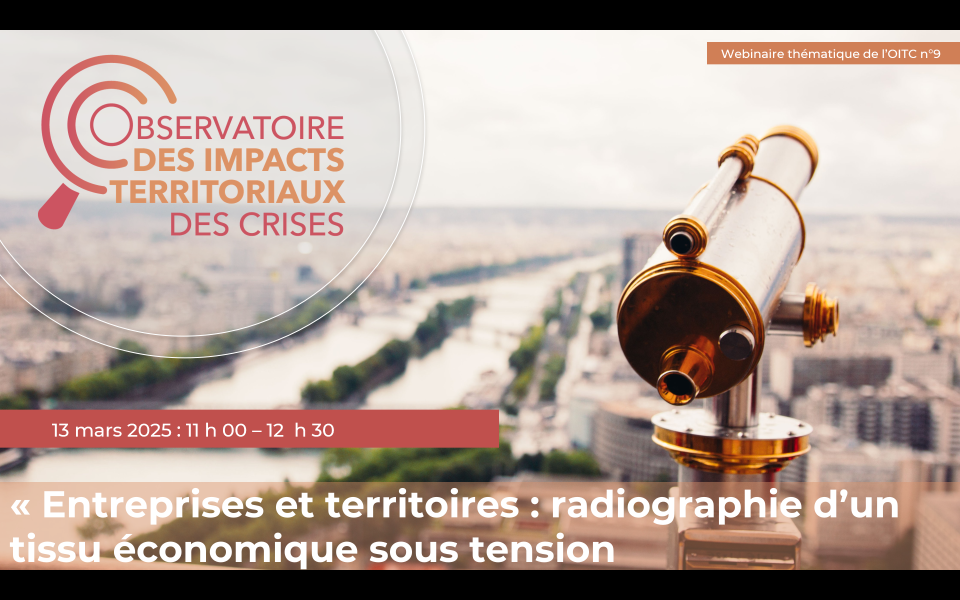 Photo de description du webinaire "Entreprises et territoires : radiographie d’un tissu économique sous tension" 