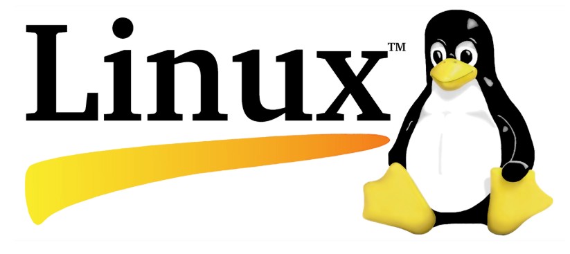 Rocky Linux 9.x (64-bit)