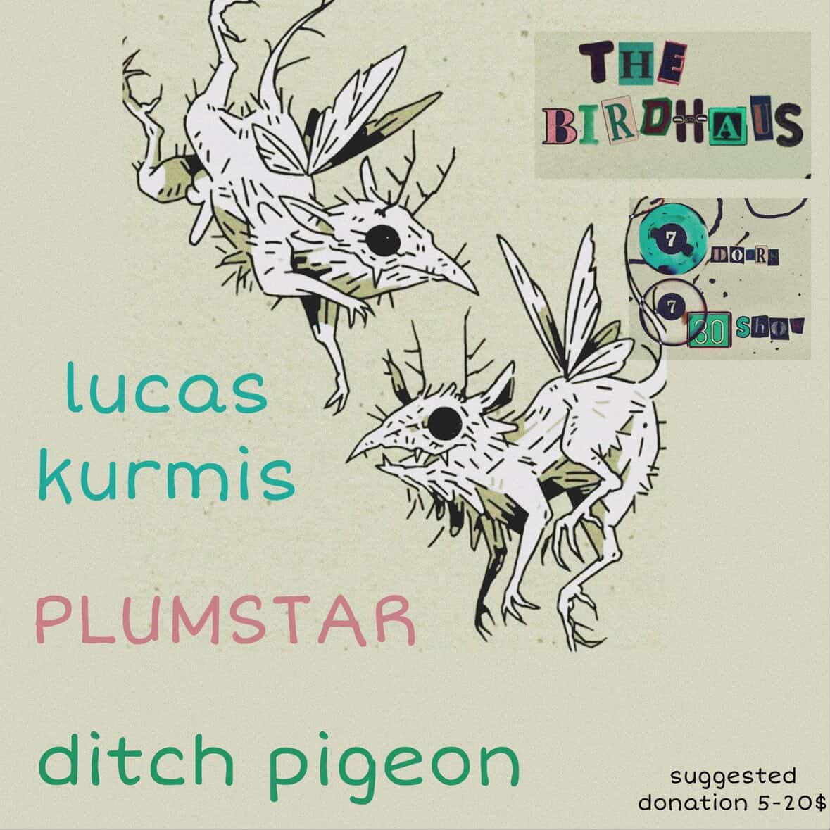 DITCH PIGEON / LUCAS KURMIS / PLUMSTAR flyer