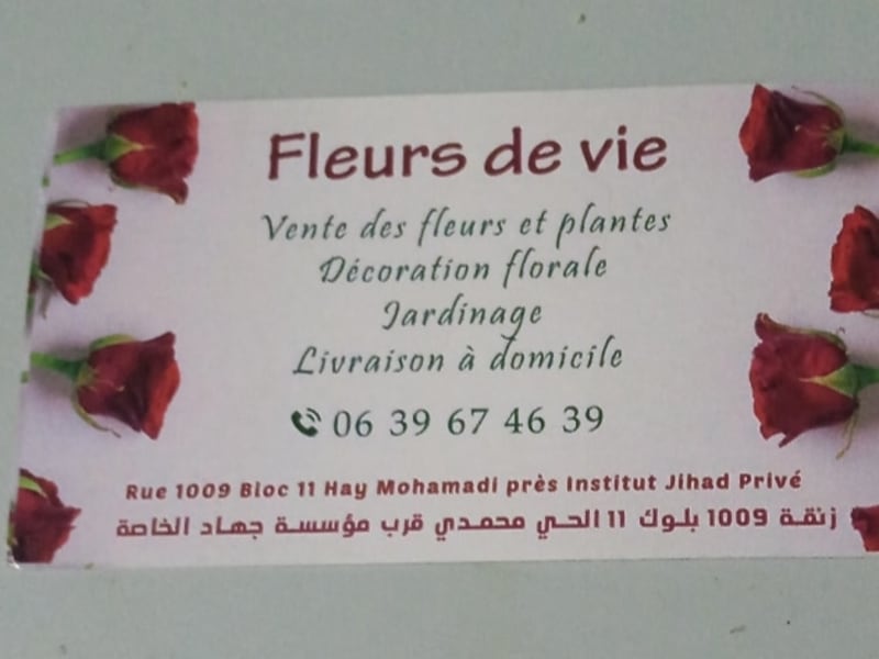 Les fleurs de vie photo 2