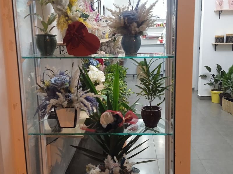 Les fleurs de vie photo 6