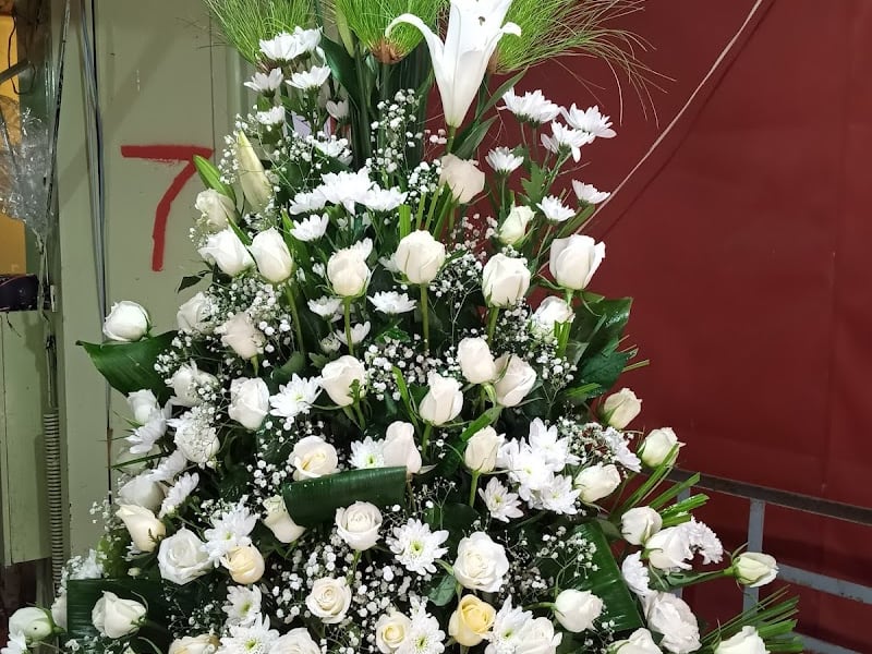 Maroc fleurs photo 2