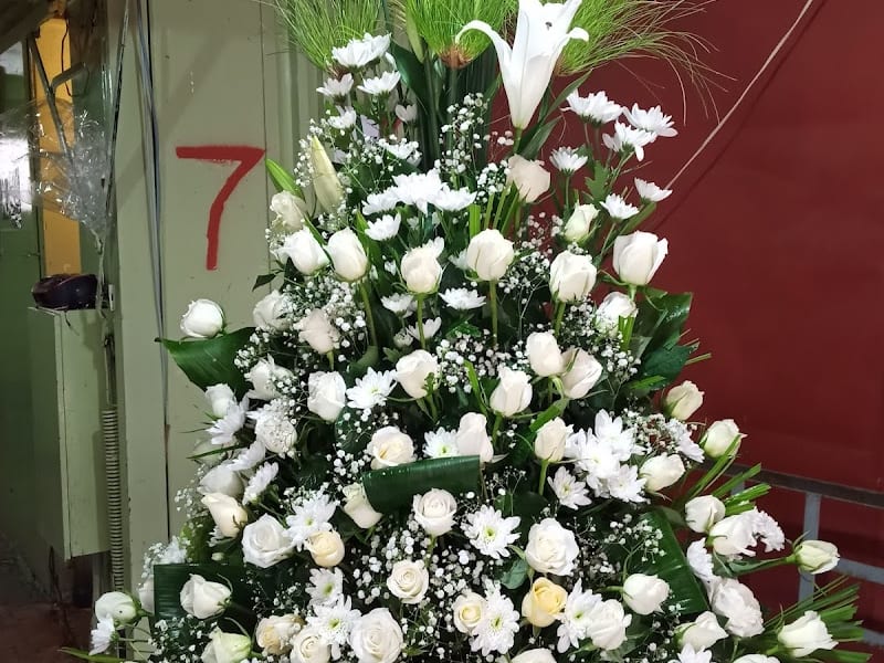 Maroc fleurs photo 5
