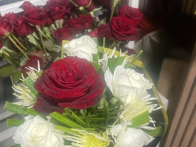 Flowers kénitra L'orchidée ورود القنيطرة photo 6