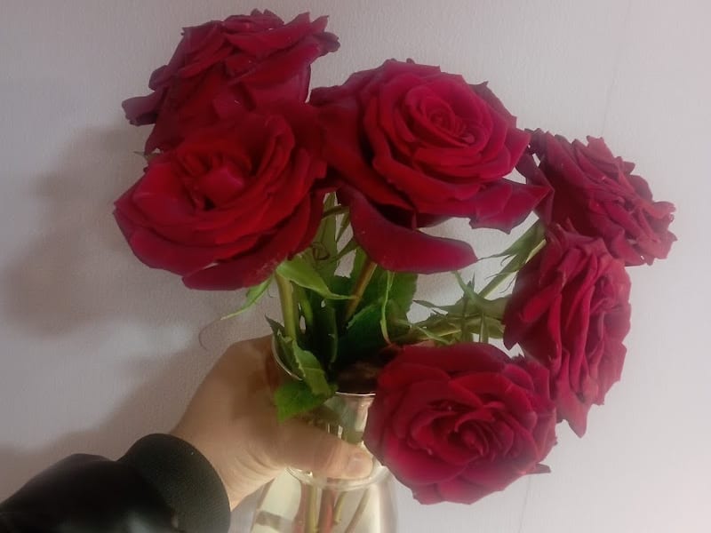 Fleuriste Fes photo 6