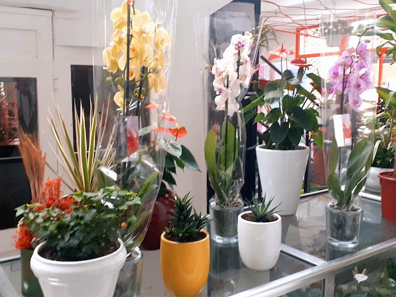 FLEURAMAR: Fleuriste photo 5