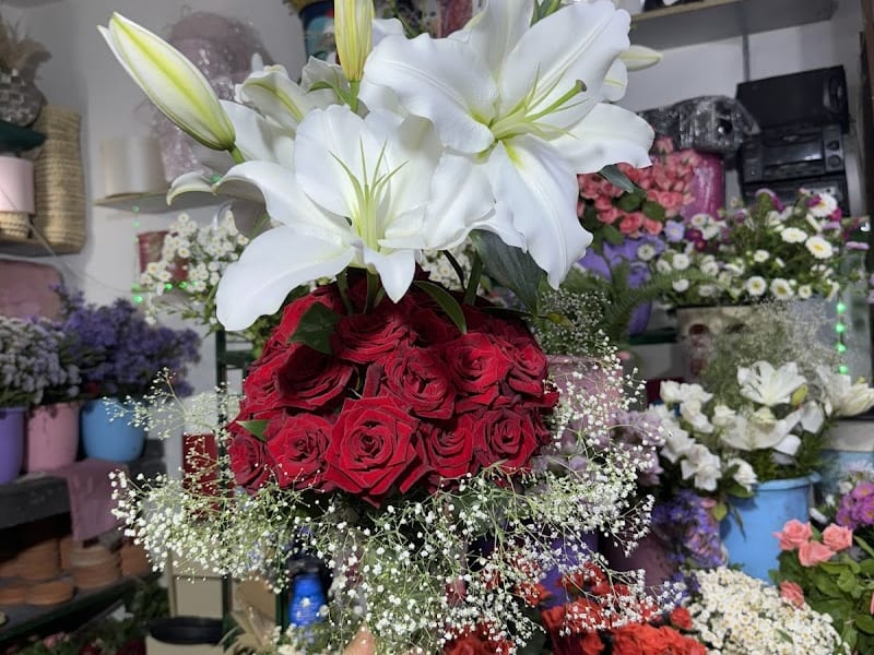 Ros et fleurs photo 3