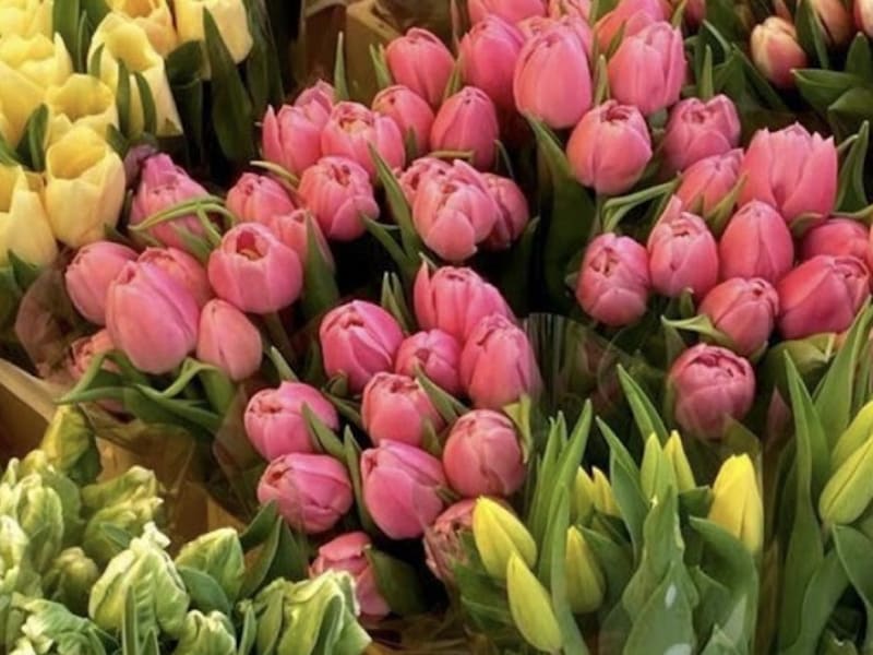 Signature Florale photo 2
