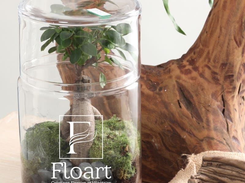 Floart Maroc photo 6
