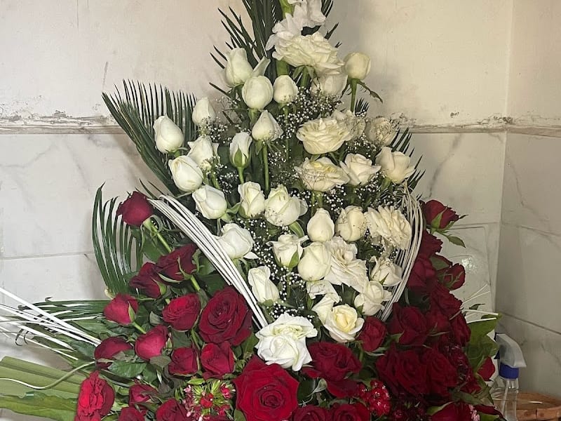 Fleurs du maroc photo 6