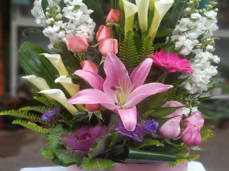 Fleur d'Agdal photo 2