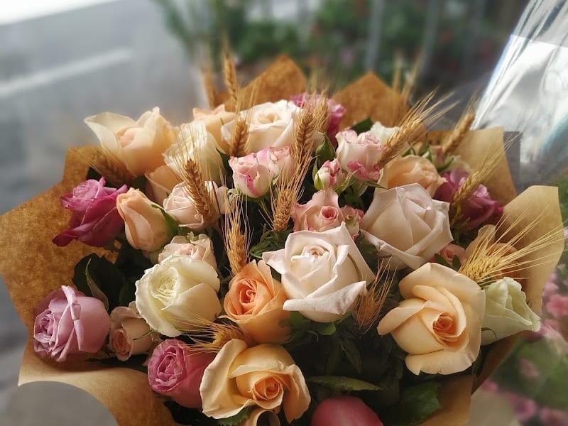 Fleur d'Agdal photo 3